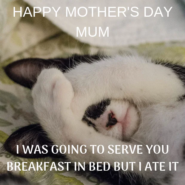 Mother’s Day Funny Memes about breakfast