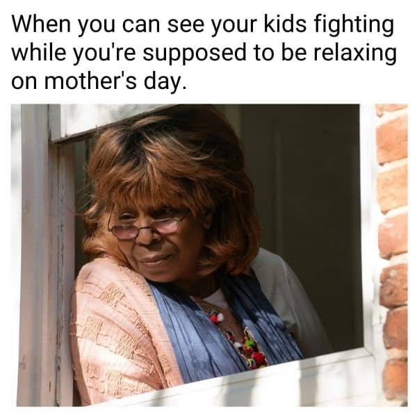 Mother’s Day Funny Memes about fighting kids