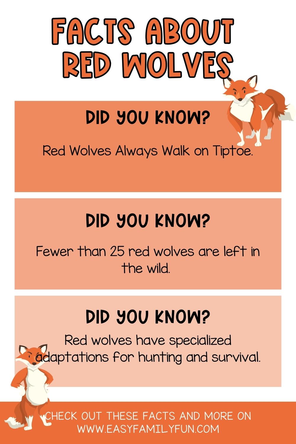 20 Interesting Facts About Red Wolves [Free Fact Cards] Easy Family