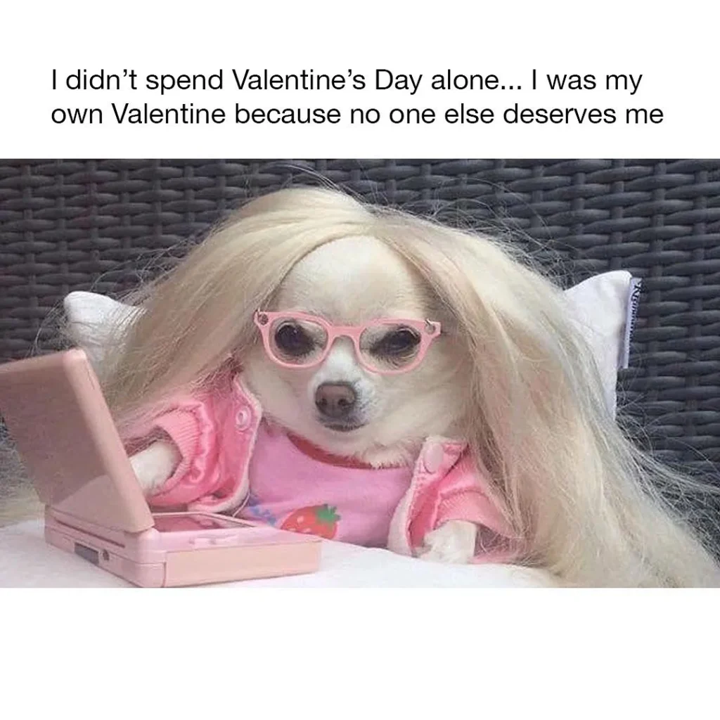 Valentine’s Day Memes about valentines alone