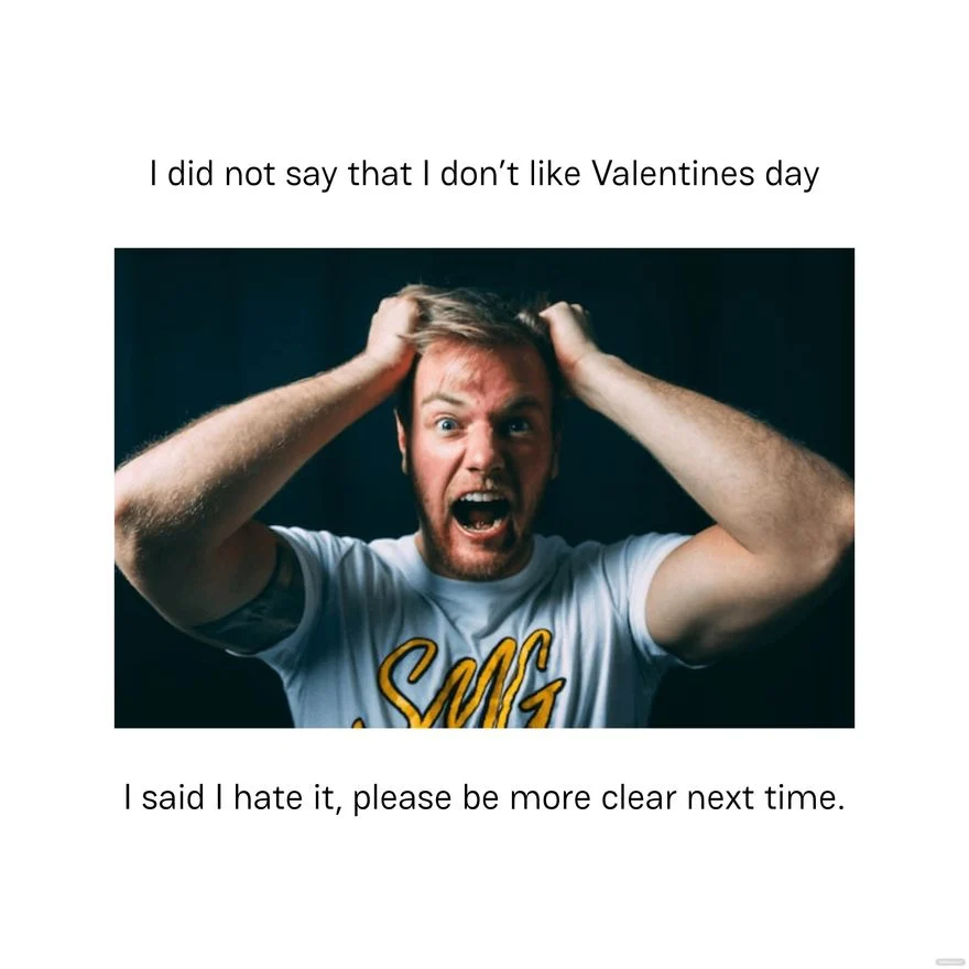 Valentine’s Day Memes about i did not say i don't like valentine day