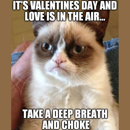 Valentine’s Day Memes about love is in the air