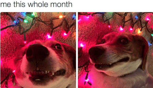 Christmas light meme about feeling the whole month