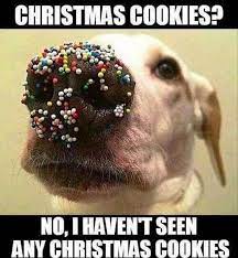 Christmas memes about Christmas cookie