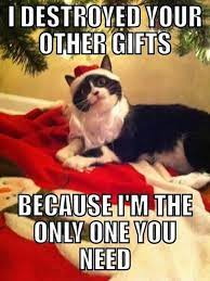 Christmas memes about cats being needy