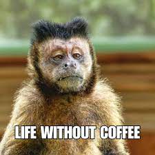 coffee memes about life without coffee