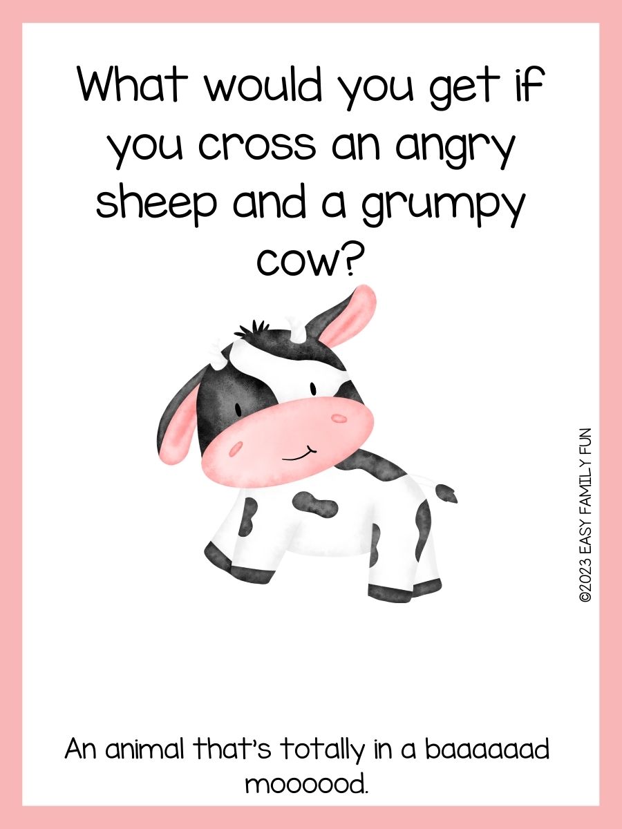 Cow Jokes Easy Family Fun Games, Trivia, and Jokes