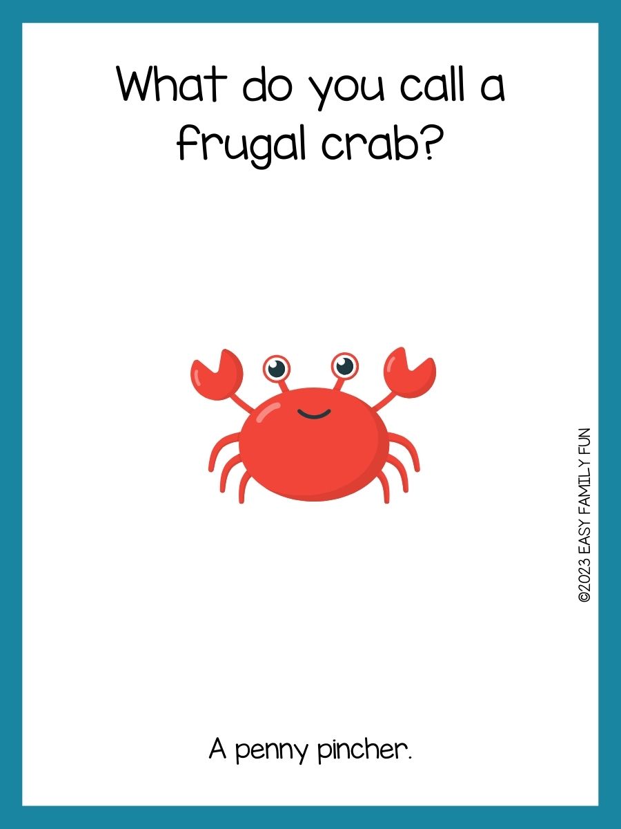 165 Best Crab Jokes That Are CrabTastic