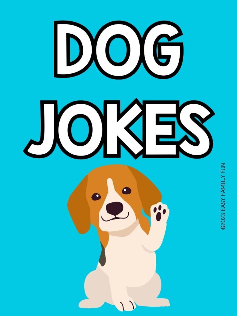 light blue background, white text saying "dog jokes"