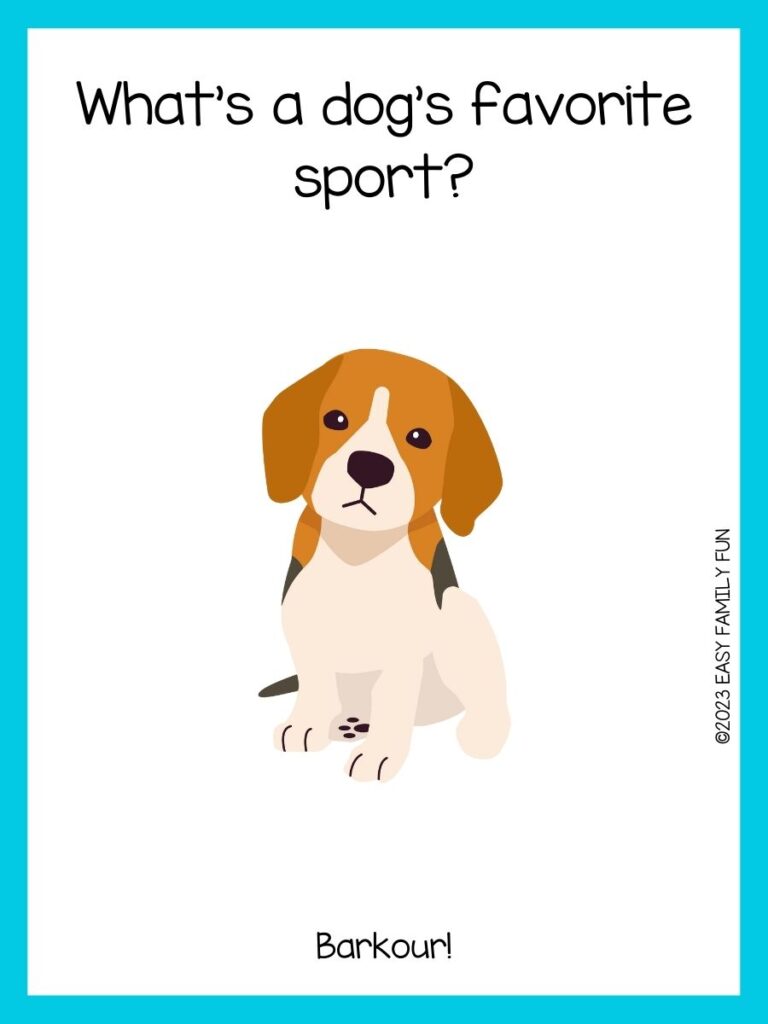 in post image with white background, light blue border, title that says "dog jokes", text of a dog joke, and an image of a sad dog
