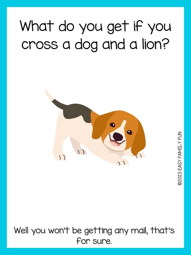 in post image with white background, light blue border, title that says "dog jokes", text of a dog joke, and an image of playful dog
