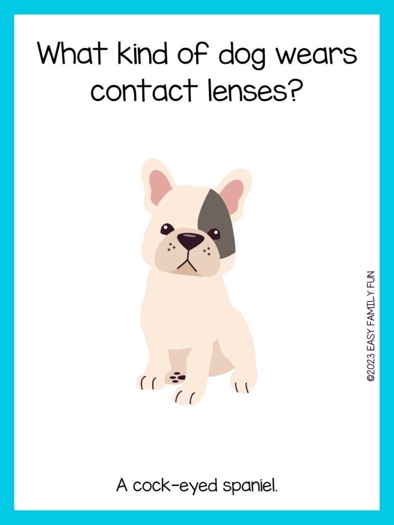in post image with white background, light blue border, title that says "dog jokes", text of a dog joke, and an image of a cute cream french bulldog

