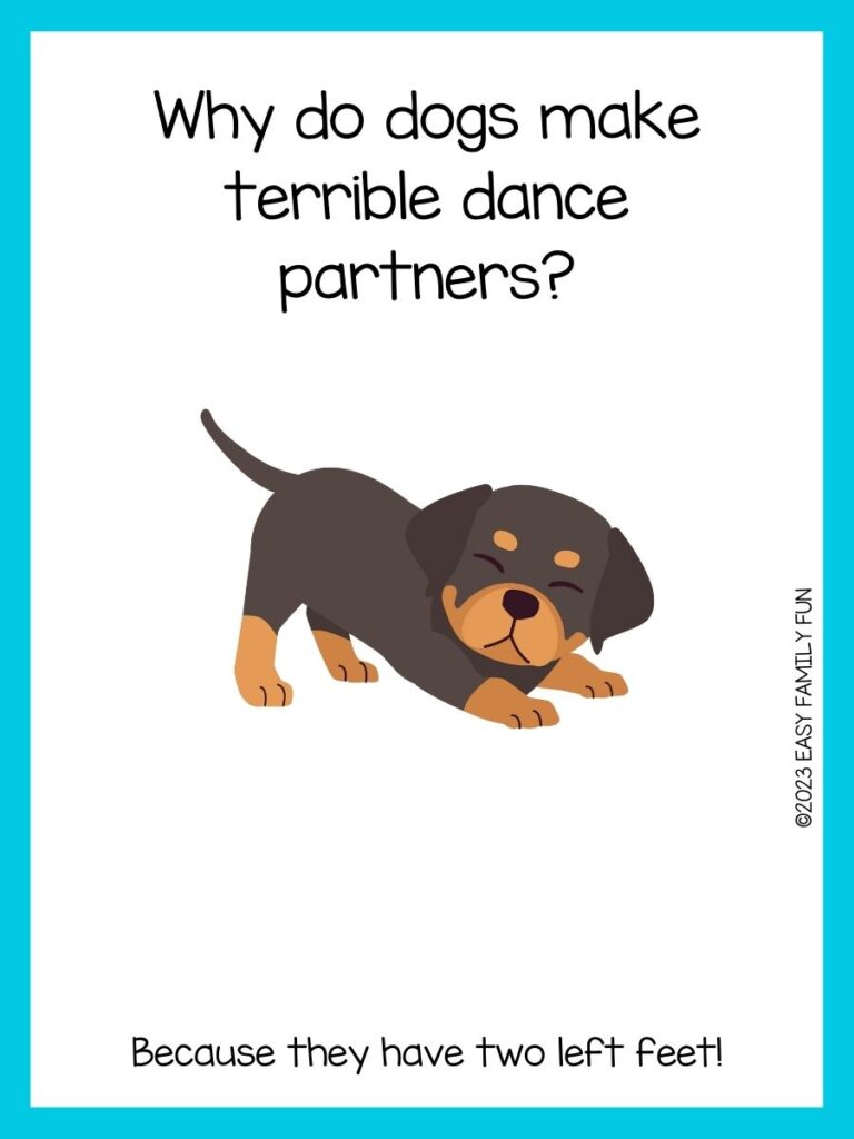 in post image with white background, light blue border, title that says "dog jokes", text of a dog joke, and an image of a stretching rottweiler brown dog