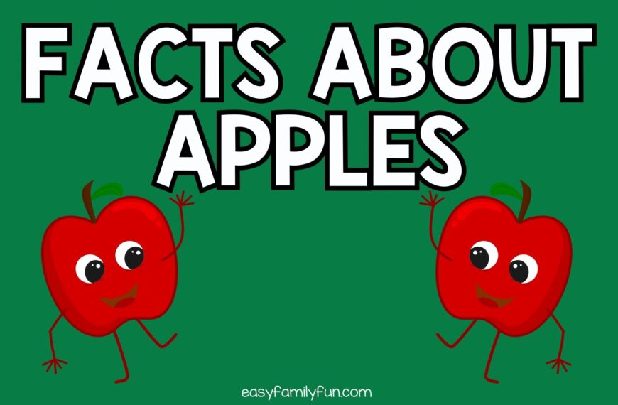 50 Interesting Facts About Apples [Free Fact Cards]