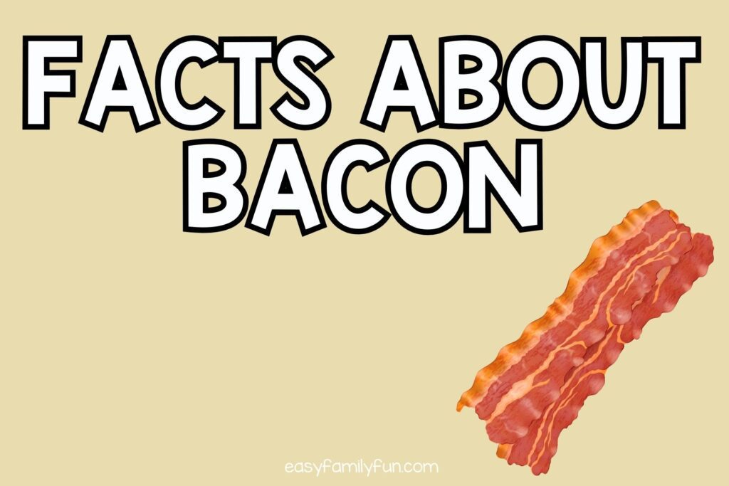 feature image in yellow background, white text saying "facts about bacon"