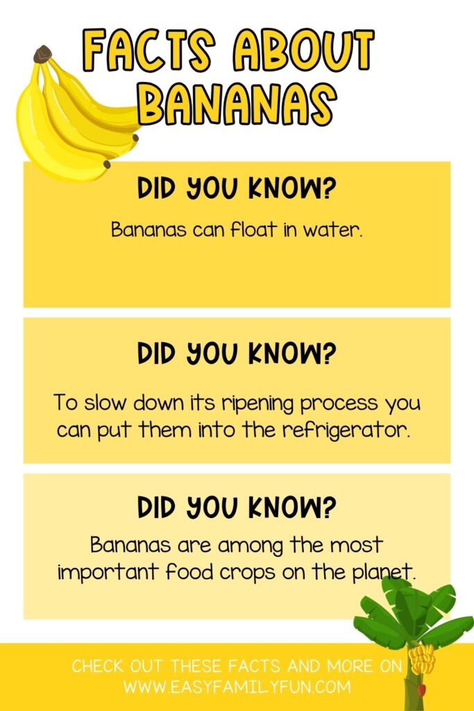 yellow font at top "facts about bananas" with a bunch of bananas with 3 yellow color blocks all with a banana fact inside. 