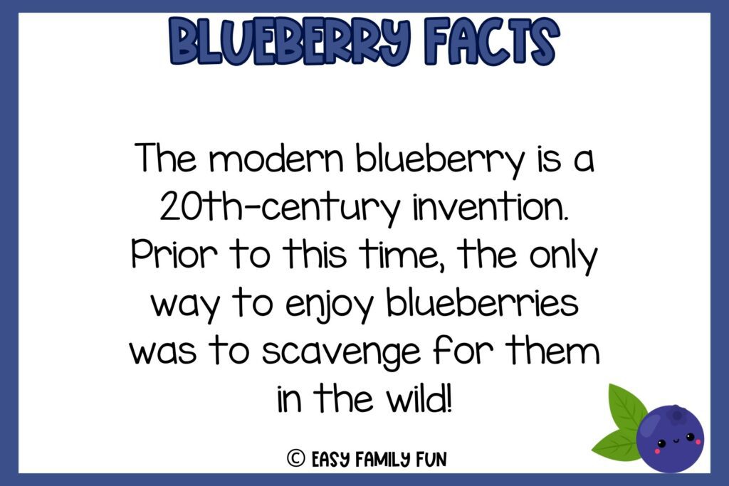 white background, navy blue border saying facts about blueberries with an image of a cute smiling blueberry 
