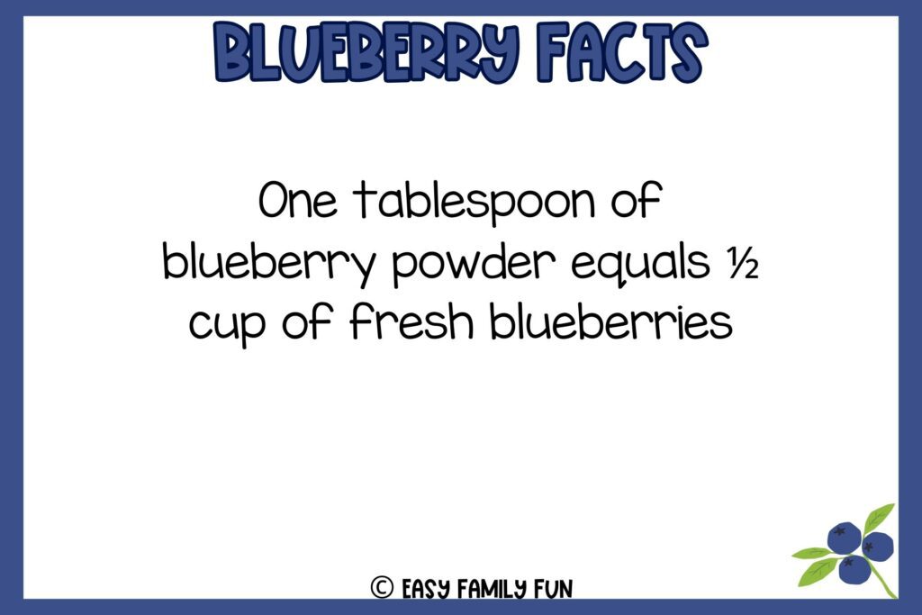 white background, navy blue border saying facts about blueberries with an image of a three blueberries
