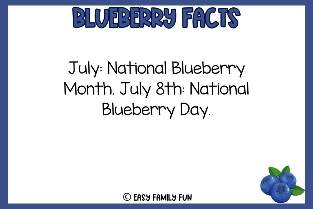 white background, navy blue border saying facts about blueberries with an image of a three blueberries drawing
