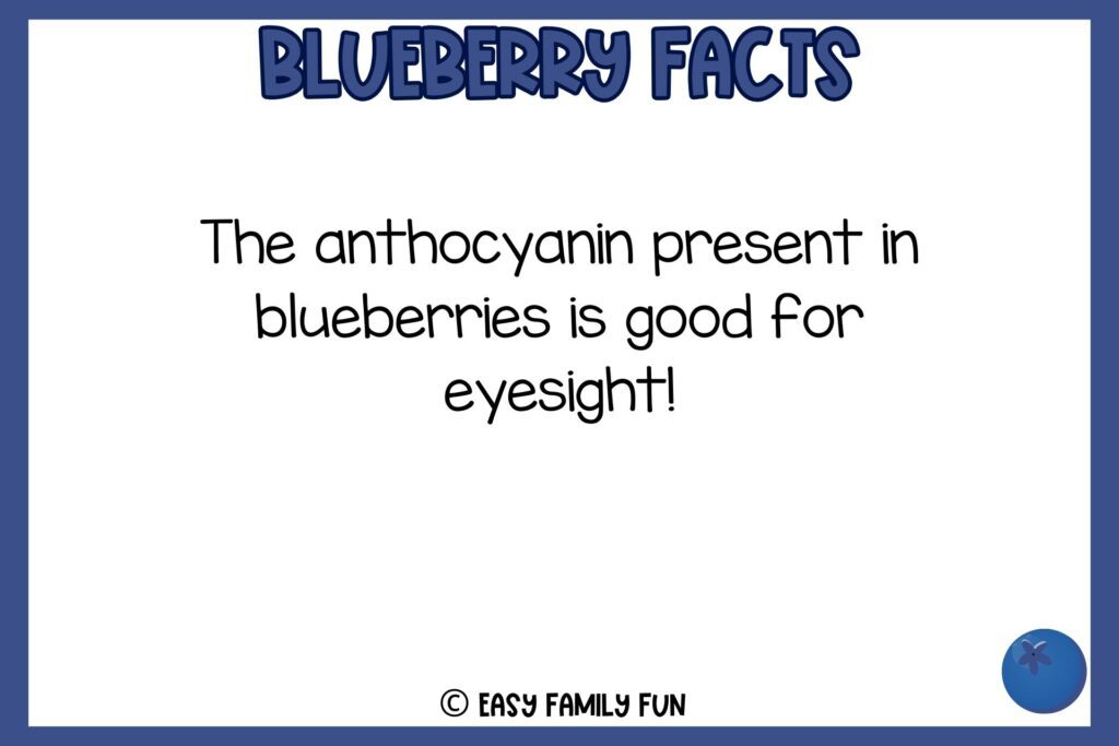 white background, navy blue border saying facts about blueberries with an image of a blueberry fruit
