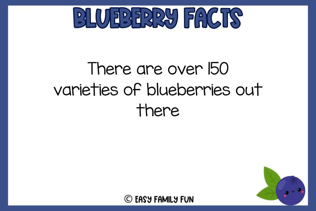 white background, navy blue border saying facts about blueberries with an image of a cute smiling blueberry 
