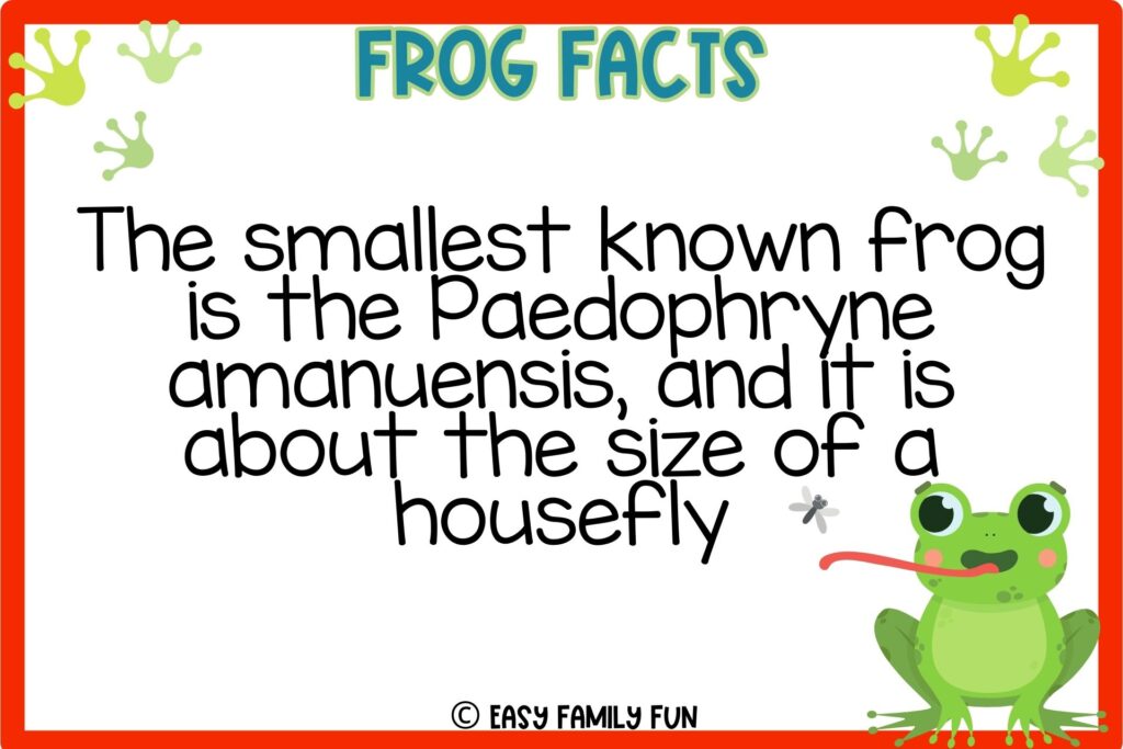 in post image with white background, red border, title that says "frog facts", text of a fact about Frogs, and an image of a frog catching a fly
