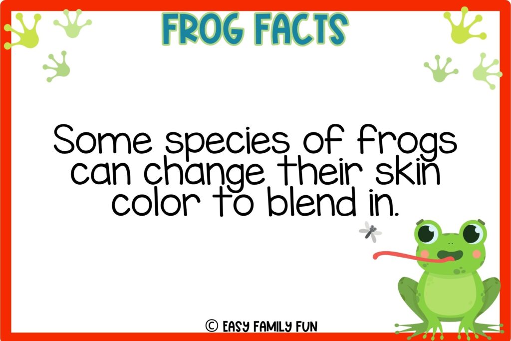 in post image with white background, red border, title that says "frog facts", text of a fact about Frogs, and an image of a frog catching a fly
