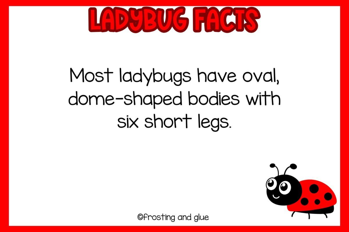Interesting Facts about Ladybugs [Free Fact Cards] - Easy Family Fun ...