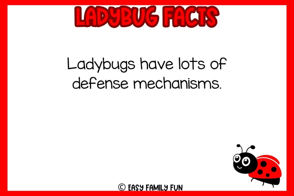 white background, red border saying ladybug facts with an image of a ladybug trying to fly
