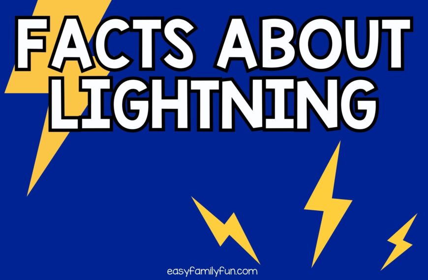 79 Electrifying Facts about Lightning [Free Fact Cards]