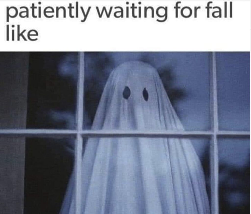 fall meme about patiently waiting