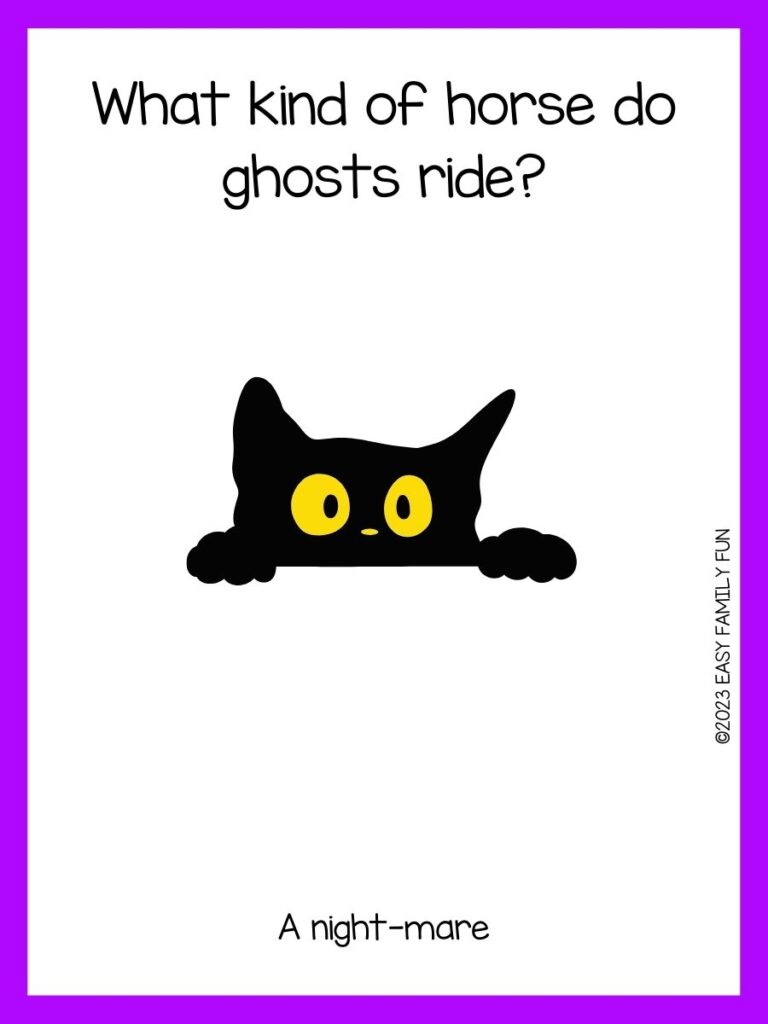 white background, purple border saying Halloween jokes with an image of a half face black cat 
