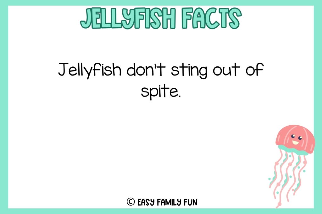 white background, aquamarine border saying jellyfish facts with an image of a happy pink jellyfish
