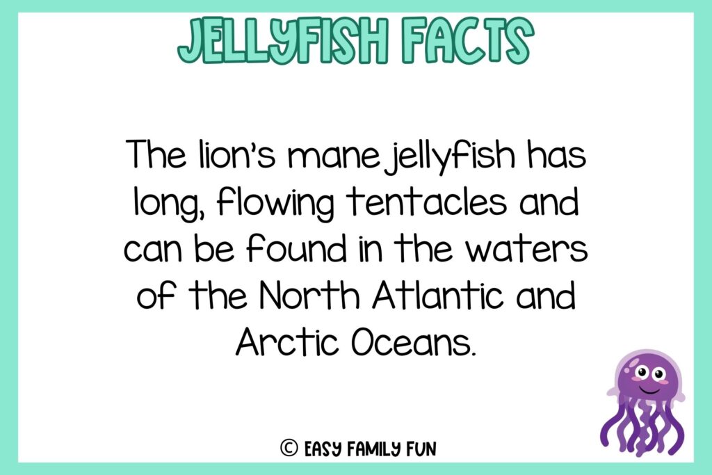 white background, aquamarine border saying jellyfish facts with an image of smilling purple jellyfish
