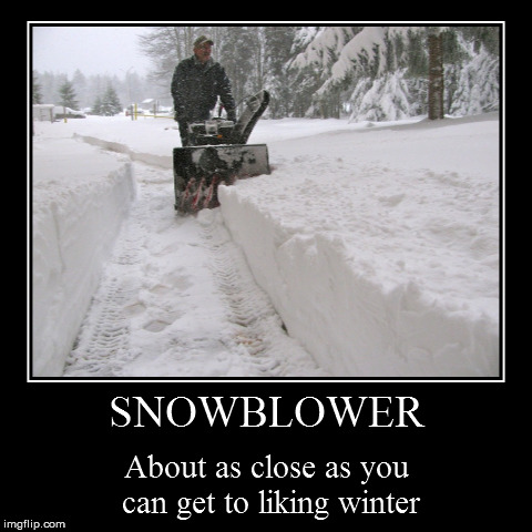 Snow Blower Memes about liking a snowblower