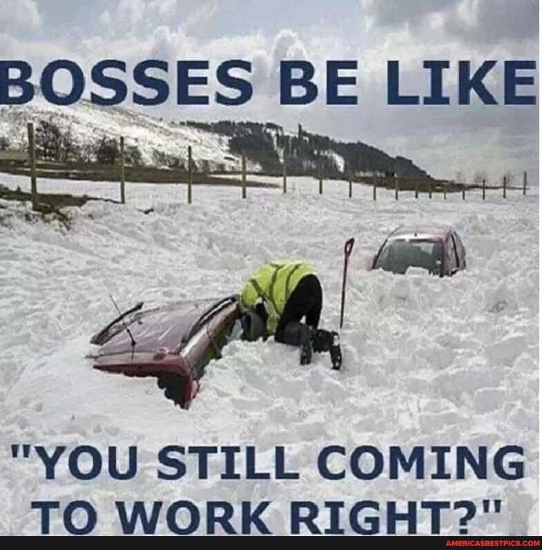 Snow Memes about boss be like