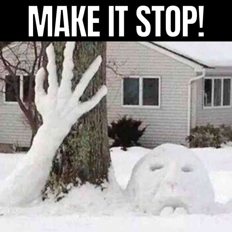Snow Memes about make it stop