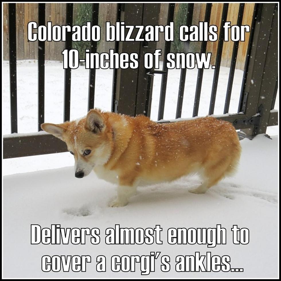 Snow Memes about Colorado blizzard