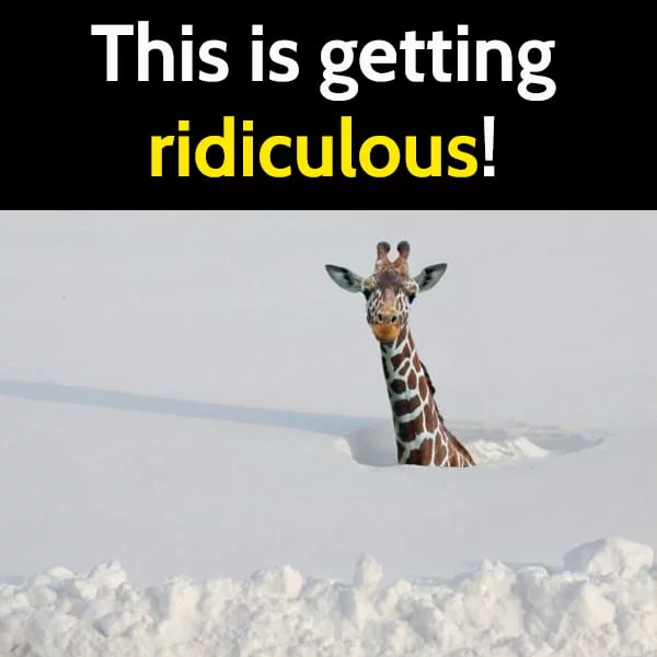 Snow Memes about getting ridiculous