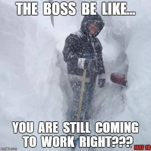 Snow Memes about boss be like