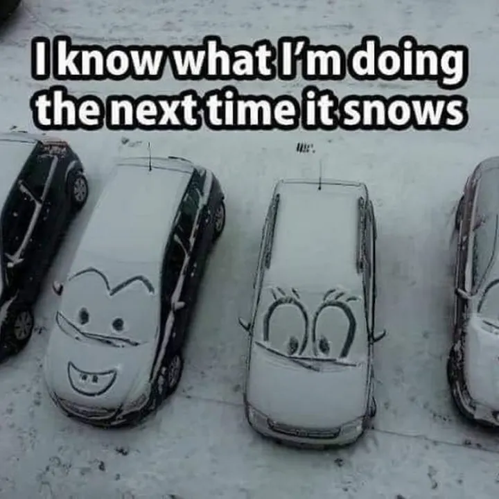 Snow Memes about next time it snows
