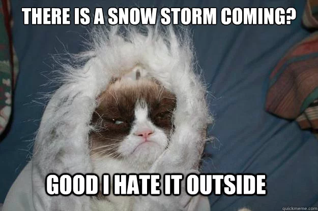 Snow Memes about snow storm