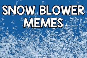 Snow Blower Memes: A Frosty Collection of Winter Humor - Easy Family ...