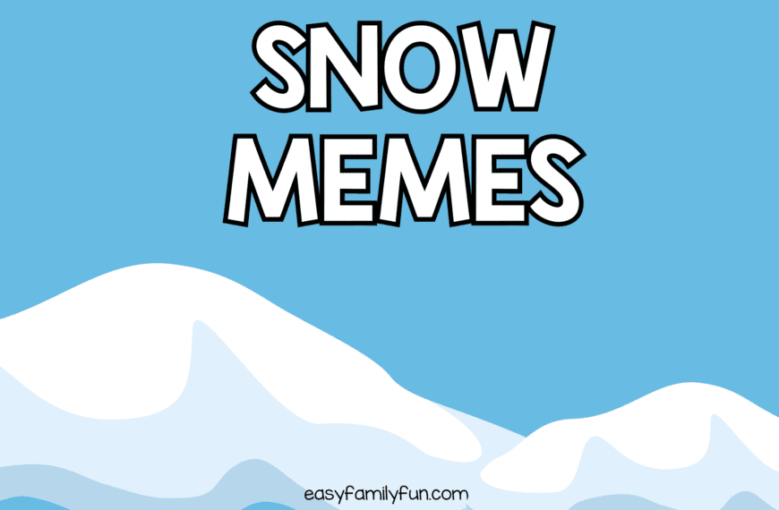 Snow Way! The Ultimate Snow Memes for Some Seriously Frosty Laughs