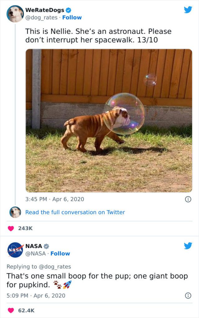 Dog Memes about astronaut