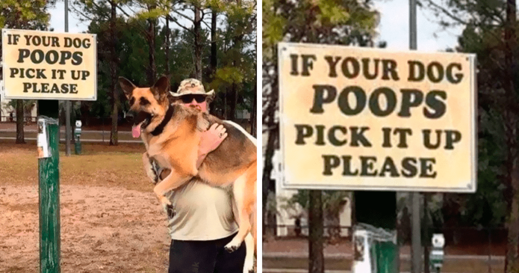 Dog Memes about poops