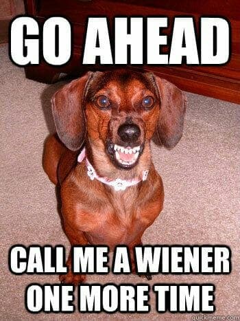 Dog Memes about weiner
