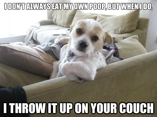 Dog Memes about poop