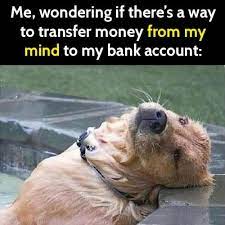 Dog Memes about money in bank account