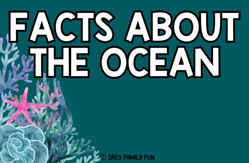 feature image in dark teal background, white text saying "facts about the ocean"